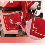 Minidoll TGCF Ghost King Hua Cheng San Lang Endearing Plush Doll